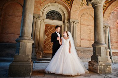 Güzel birbirlerinin şirket zevk çarpıcı Düğün çifti