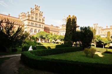 Harika Düğün çifti onların düğün da parkta yürüyüş