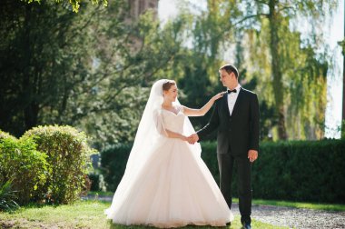 Harika Düğün çifti onların düğün da parkta yürüyüş