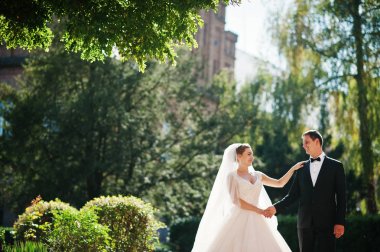 Harika Düğün çifti onların düğün da parkta yürüyüş