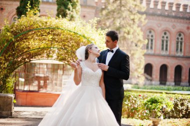 Çekici Düğün çifti görkemli bir adam bahçede poz