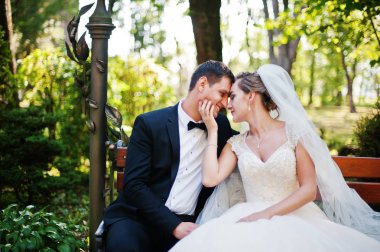 Harika Düğün çifti onların düğün da parkta yürüyüş