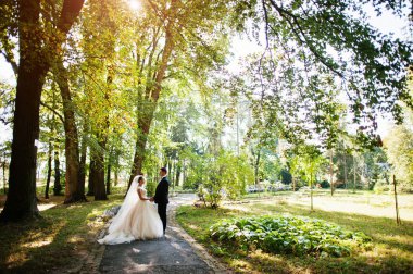 Harika Düğün çifti onların düğün da parkta yürüyüş