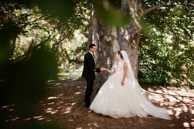 Kesinlikle çarpıcı yürüyüş ve t poz genç Düğün çifti
