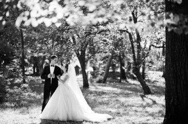 Kesinlikle çarpıcı yürüyüş ve t poz genç Düğün çifti