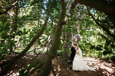 Kesinlikle çarpıcı yürüyüş ve t poz genç Düğün çifti