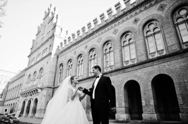 Güzel birbirlerinin şirket zevk çarpıcı Düğün çifti