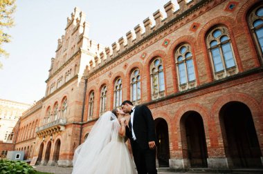 Güzel birbirlerinin şirket zevk çarpıcı Düğün çifti