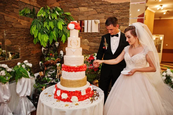 Prachtige bruidspaar hun cake snijden met een mes in roerige — Stockfoto