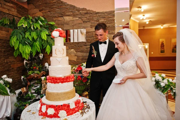 Prachtige bruidspaar hun cake snijden met een mes in roerige — Stockfoto