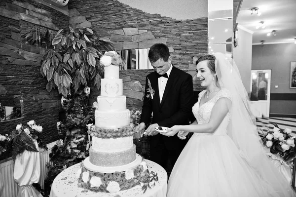 Gorgeous wedding couple cutting their cake with knife in restaur — Stock Photo, Image