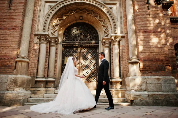 Casal de casamento deslumbrante curtindo a companhia um do outro em uma beleza — Fotografia de Stock