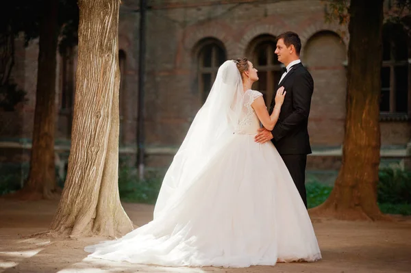 Fantástica pareja de boda caminando en el parque en su boda da — Foto de Stock