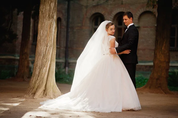 Fantástica pareja de boda caminando en el parque en su boda da — Foto de Stock