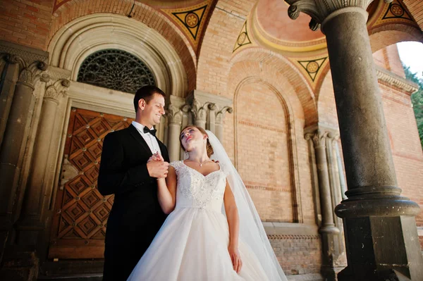 Casal de casamento deslumbrante curtindo a companhia um do outro em uma beleza — Fotografia de Stock