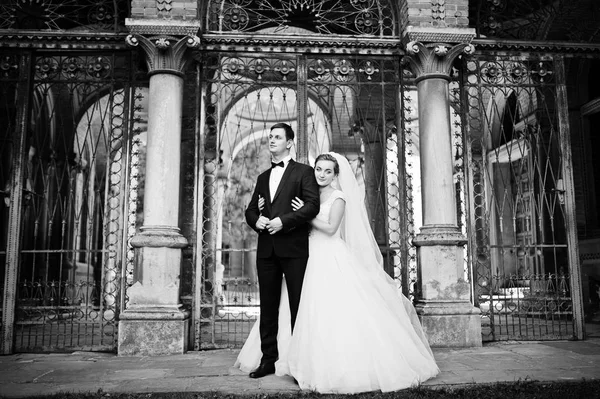 Güzel birbirlerinin şirket zevk çarpıcı Düğün çifti