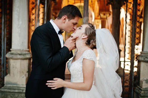 Pompás esküvői pár élvezik egymás társaságát, a gyönyörû — Stock Fotó
