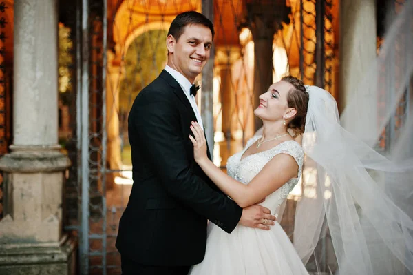 Casal de casamento deslumbrante curtindo a companhia um do outro em uma beleza — Fotografia de Stock