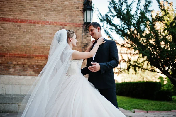 Casal de casamento deslumbrante curtindo a companhia um do outro em uma beleza — Fotografia de Stock