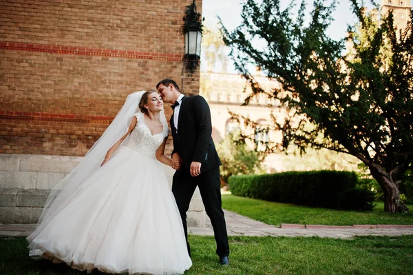 Atemberaubendes Hochzeitspaar genießt die Gesellschaft des jeweils anderen auf einem strammen — Stockfoto