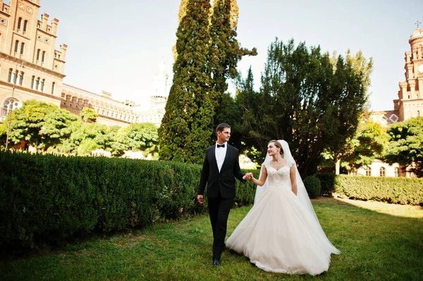 Casal de casamento fantástico andando no parque em seu casamento da — Fotografia de Stock