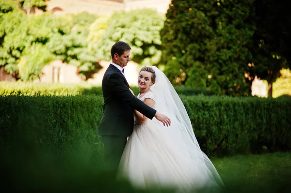 Casal de casamento fantástico andando no parque em seu casamento da — Fotografia de Stock