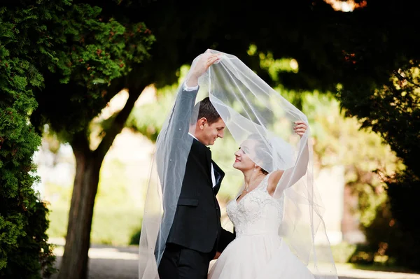 Fantastische bruidspaar wandelen in het park op hun bruiloft da — Stockfoto