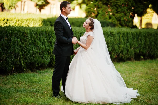 Fantástica pareja de boda caminando en el parque en su boda da — Foto de Stock