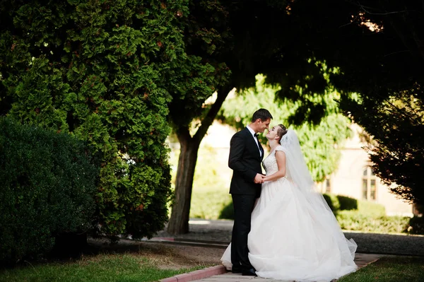 Casal de casamento fantástico andando no parque em seu casamento da — Fotografia de Stock