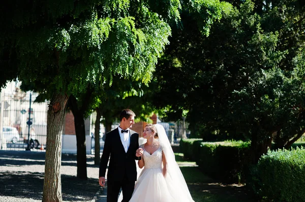 Fantástica pareja de boda caminando en el parque en su boda da — Foto de Stock