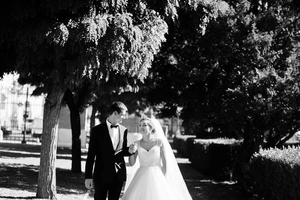 Fantastische bruidspaar wandelen in het park op hun bruiloft da — Stockfoto