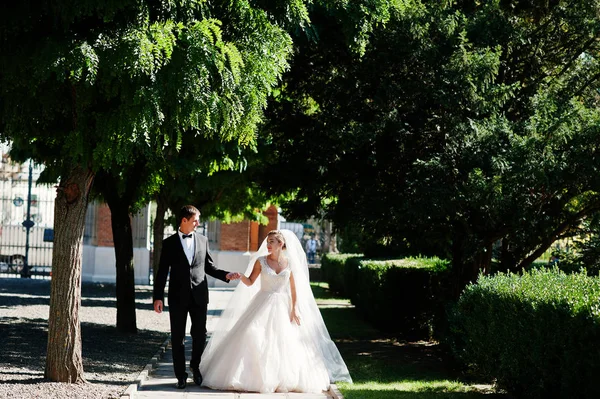 Свадебная пара гуляла в парке на своей свадьбе — стоковое фото