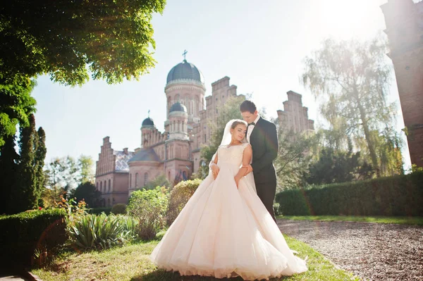 Casal de casamento fantástico andando no parque em seu casamento da — Fotografia de Stock