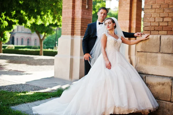 Impresionante pareja de boda disfrutando de la compañía del otro en una belleza — Foto de Stock