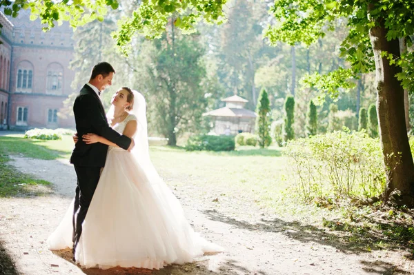 幻想的な結婚式のカップルが彼らの結婚式の da に公園を散歩 — ストック写真