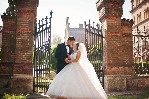 Молодая супружеская пара позирует у ворот на своей свадьбе — стоковое фото