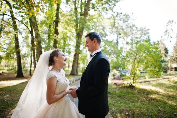 Fantastic wedding couple walking in the park on their wedding da — Stock Photo, Image