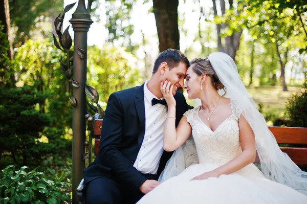 Harika Düğün çifti onların düğün da parkta yürüyüş