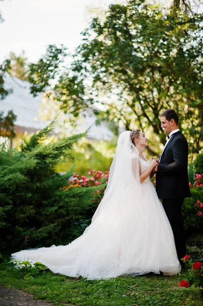 Beautiful couple walking in the park full of bright colorful flo — Stock Photo, Image