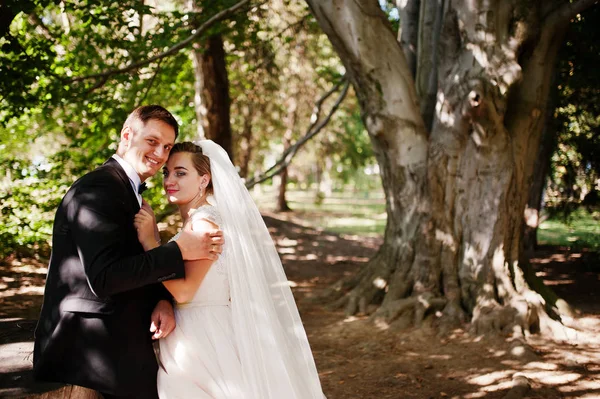 Absolument magnifique jeune couple de mariage marche et pose en t — Photo