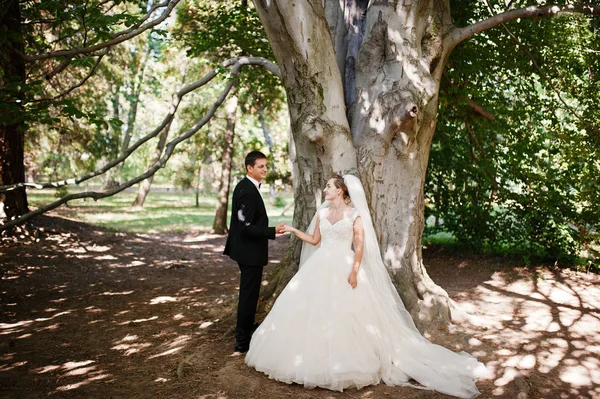 Absolutamente impresionante joven pareja de boda caminando y posando en t —  Fotos de Stock