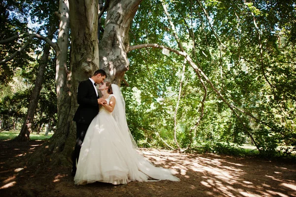 Absolutamente impresionante joven pareja de boda caminando y posando en t —  Fotos de Stock