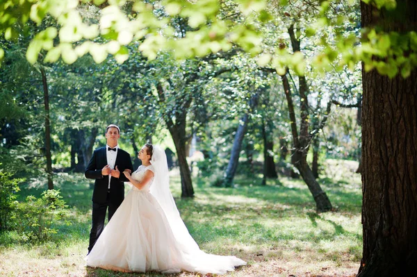 Kesinlikle çarpıcı yürüyüş ve t poz genç Düğün çifti