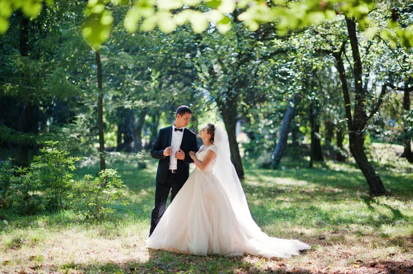 Assolutamente splendida giovane coppia di nozze a piedi e in posa in t — Foto Stock