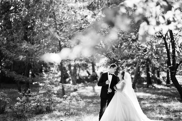 Absolument magnifique jeune couple de mariage marche et pose en t — Photo