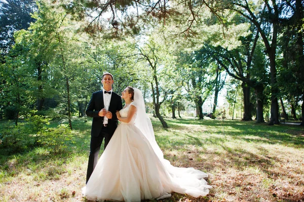 Kesinlikle çarpıcı yürüyüş ve t poz genç Düğün çifti