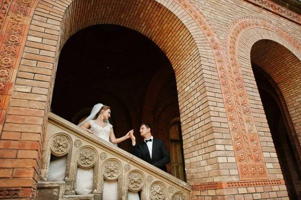 Stunning wedding couple enjoying each other's company on a beaut — Stock Photo, Image