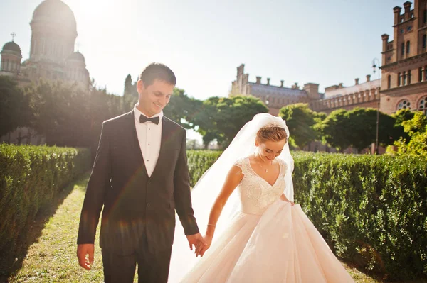 Atractiva pareja de novios posando en el jardín de un hombre majestuoso — Foto de Stock