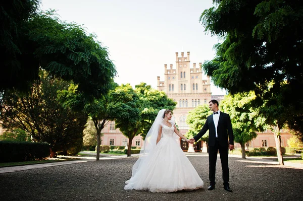 Fantastique couple de mariage marchant dans le parc sur leur da mariage — Photo