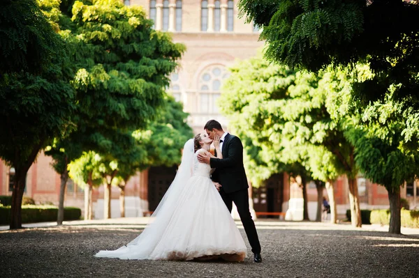 Casal de casamento fantástico andando no parque em seu casamento da — Fotografia de Stock